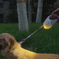 1.mp4
