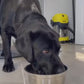 1.mp4