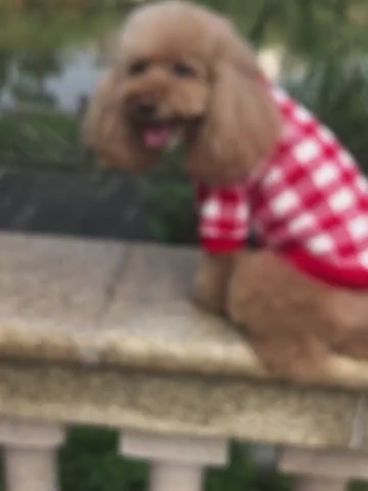 Bowknot Dog Clothes Cat Costume Hollow Knit Dog Sw