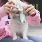 Cute Pet Dog Harness Leash Set