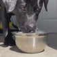 1.mp4